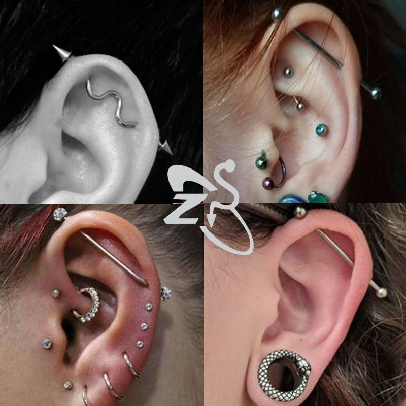ZS 1 قطعة الجراحية الصلب الخفا - مراجعة Body Jewelry Surgical Steel وسعره